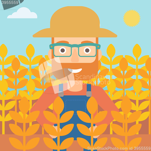 Image of Man in wheat field.