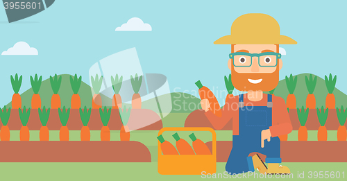 Image of Farmer collecting carrots.