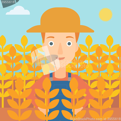 Image of Man in wheat field.