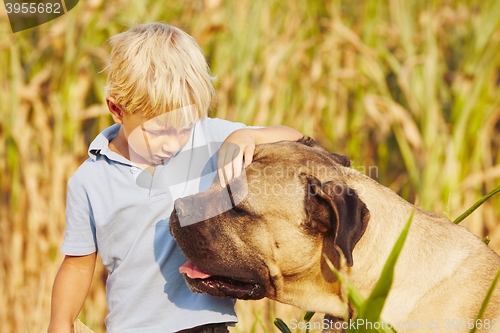 Image of Little boy with large dog