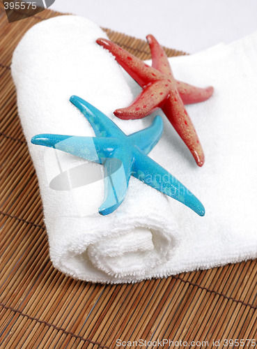Image of Starfish and towel.