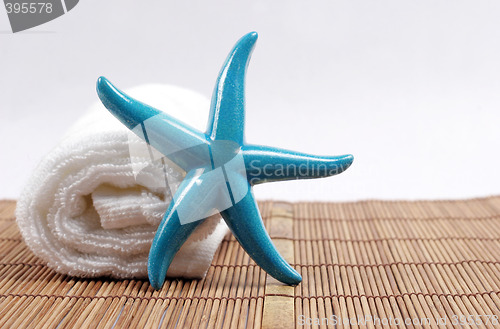 Image of Starfish and towel