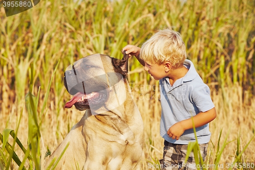 Image of Little boy with large dog