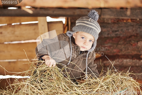 Image of Living in the farm