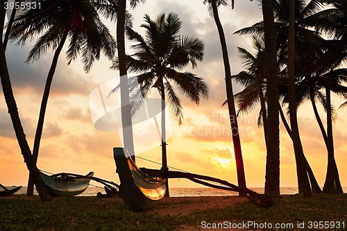 Image of Tropical island at the sunset