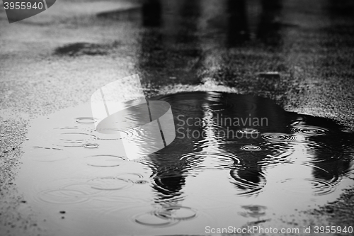 Image of Rain