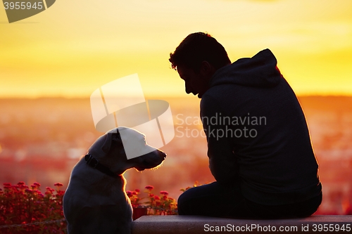 Image of Man with dog at the sunrise