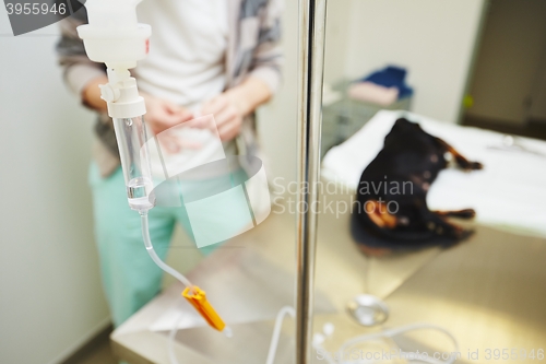 Image of Sick dog in the veterinary clinic 