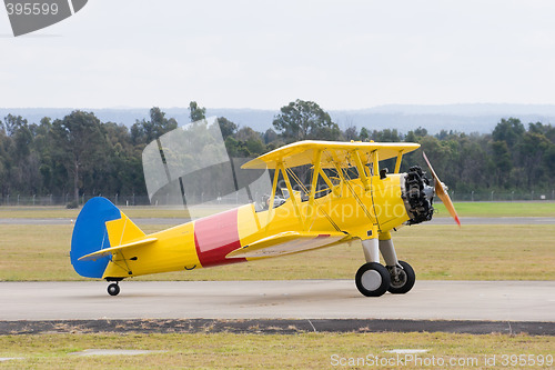 Image of Gypsy Moth