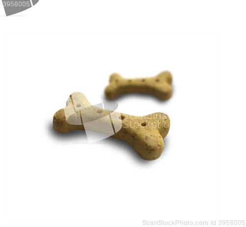 Image of Pet treat