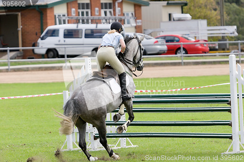 Image of Horse Jumping