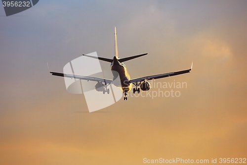 Image of Airplane at the sunset