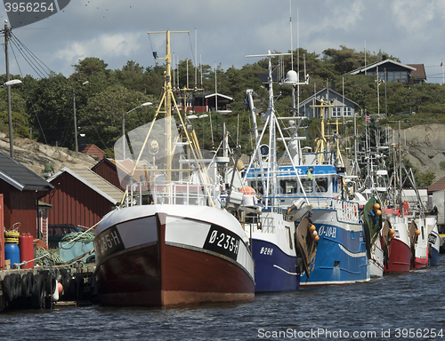Image of Fishing boat in harbour