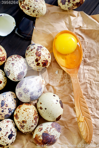 Image of quail eggs