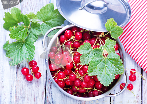 Image of red currant