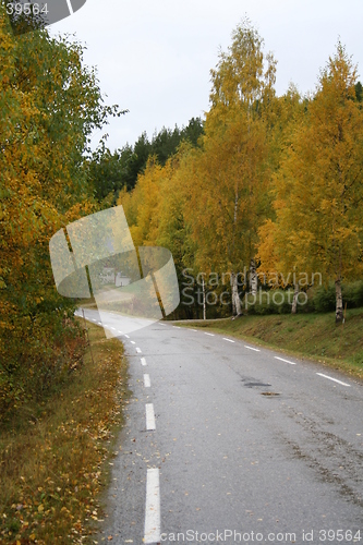 Image of Autumn mood