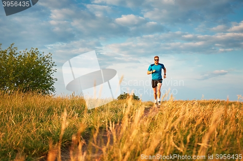 Image of Athletic runner on the hillside