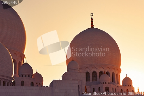 Image of Mosque in Abu Dhabi