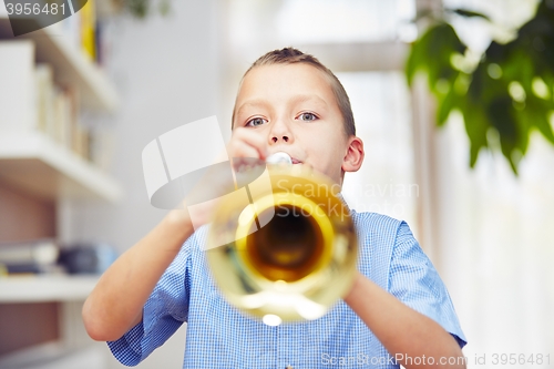 Image of Little trumpeter