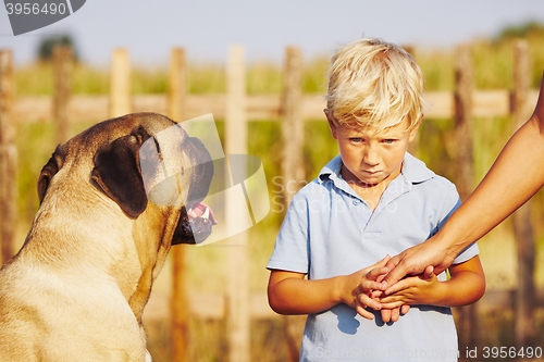 Image of Little boy and large dog