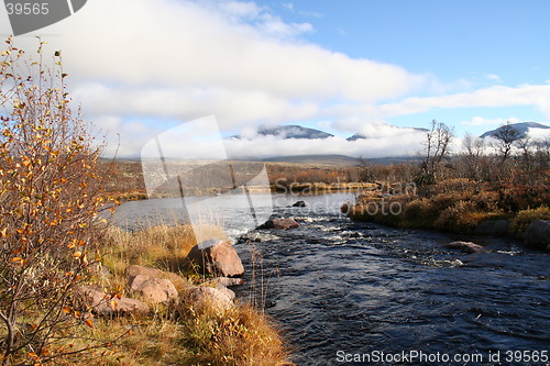 Image of Autumn mood
