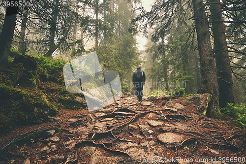 Image of Traveler in the mountains