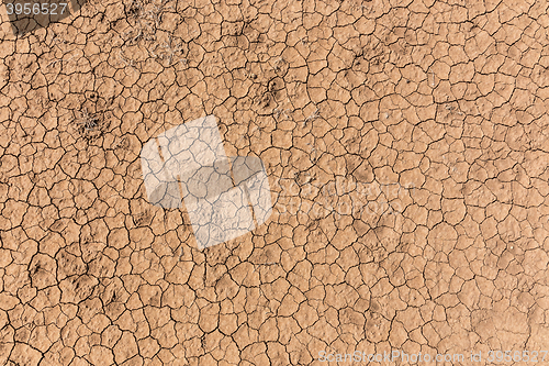 Image of Dry cracked earth background