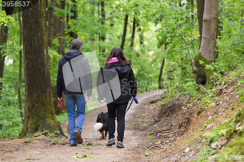 Image of Couple walking their two dogs in forest