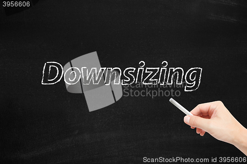 Image of Downsizing