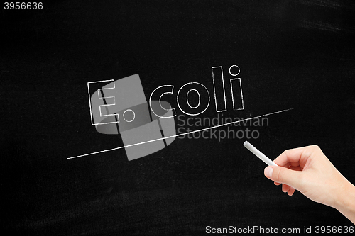 Image of E. coli