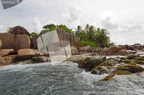 Image of St. Pierre island, Seychelles