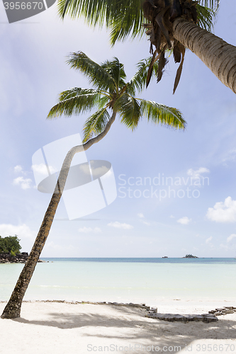 Image of Paradise beach, Praslin island, Seychelles