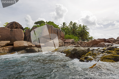 Image of Tropical island St. Pierre, Seychelles