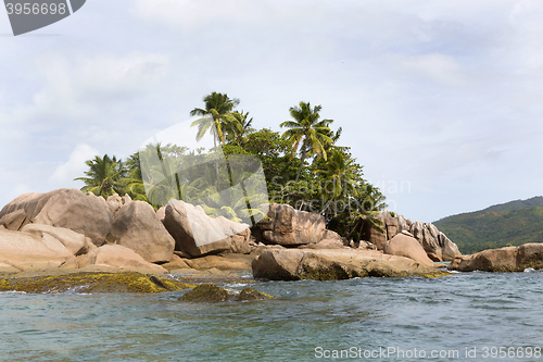 Image of Tropical island St. Pierre, Seychelles