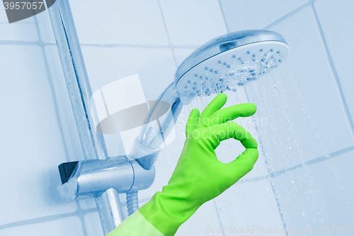 Image of Cleaning shower