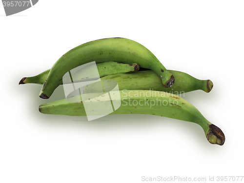 Image of Plantain