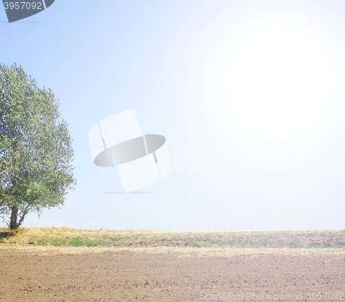 Image of Natural farmer setting