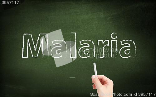 Image of Malaria