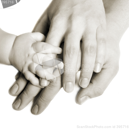 Image of Hands of a family