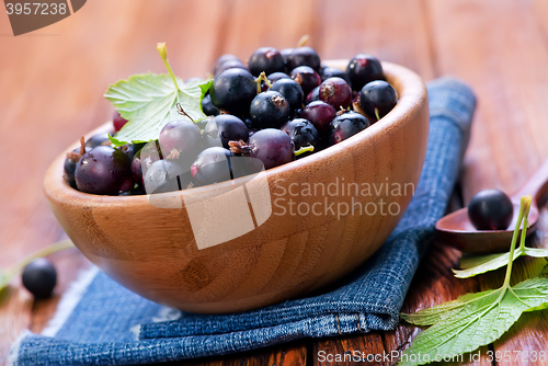 Image of black currant