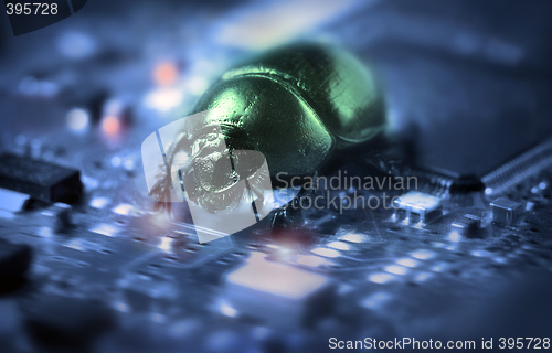 Image of Bug on a computer chip