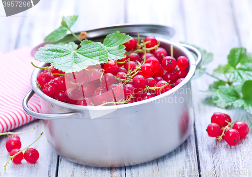 Image of red currant
