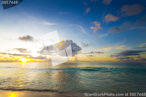 Image of Tropical beach 