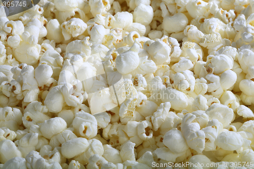 Image of Photo of Popcorn Kernels