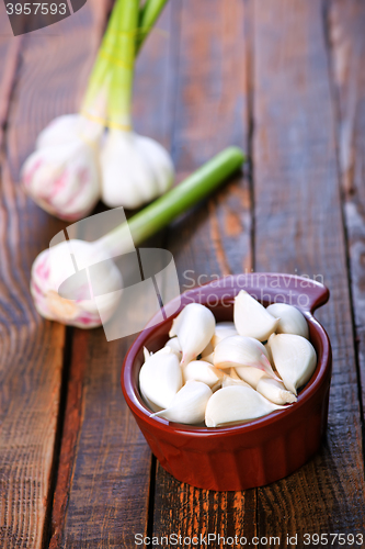 Image of fresh garlic