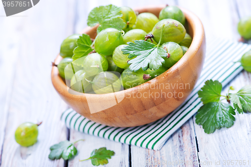 Image of green gooseberry