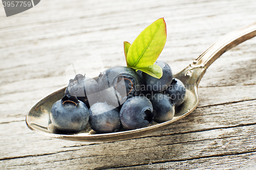 Image of Blueberry