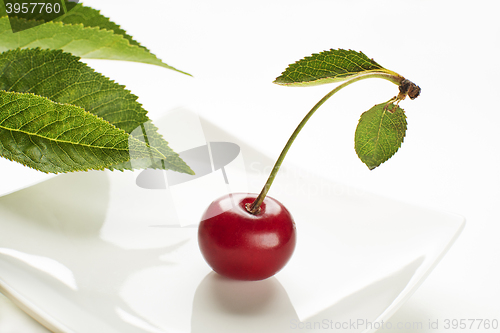 Image of Cherry fruit