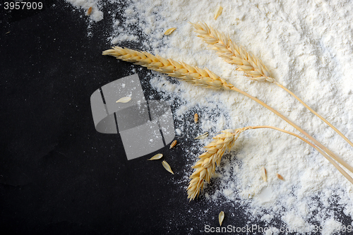 Image of Whole flour and wheat ears