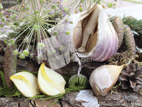 Image of Dried garlic cloves